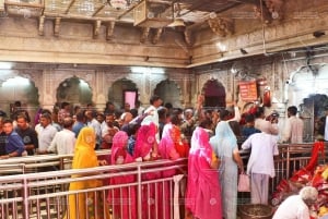 Visita Junagarh Fort, Rat Temple e Jodhpur Drop da Bikaner