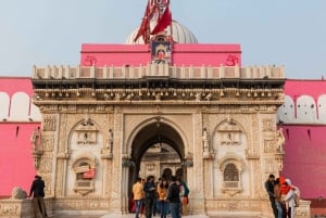 Visite du fort de Junagarh, du temple du Rat et de Jodhpur au départ de Bikaner