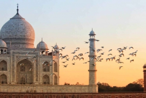 From Mumbai: Private Guided Taj Mahal Trip with Overnight