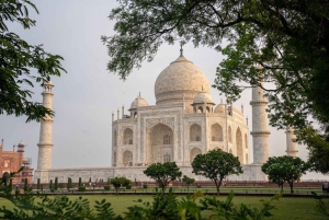 Wildlife SOS Elephant Sanctuary & Taj Mahal Tour from Delhi