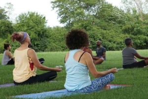 Wellness i kultura dla kobiet: joga, henna i gotowanie w Jaipurze
