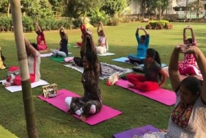 Wellness i kultura dla kobiet: joga, henna i gotowanie w Jaipurze