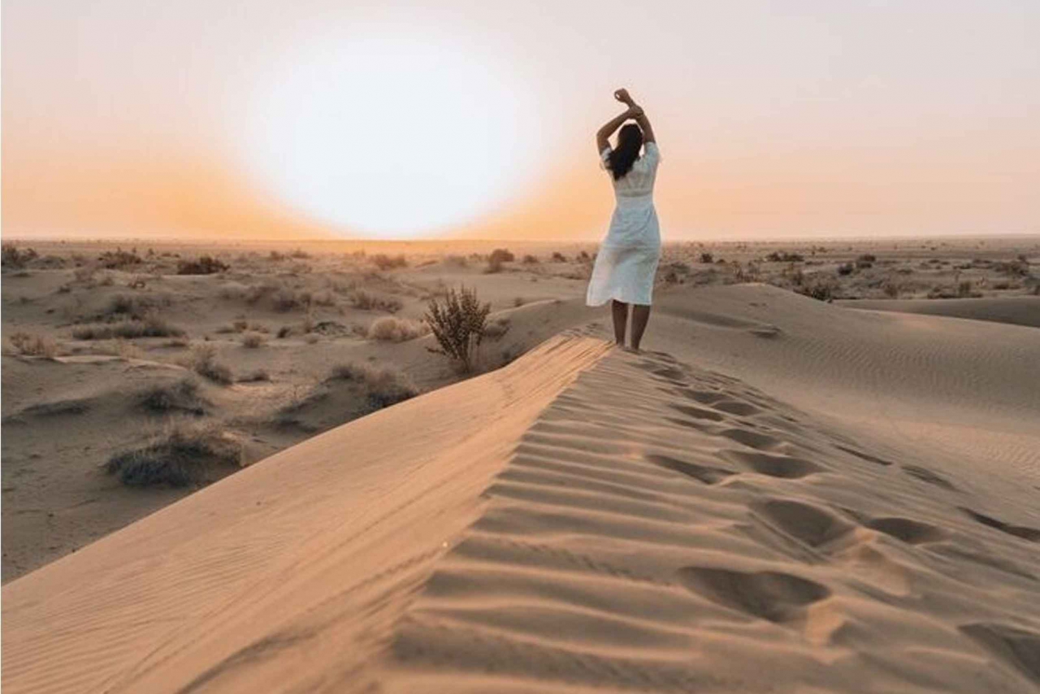 Wunderbare Kamelsafari mit der Rumi Karawane in der Wüste Thar