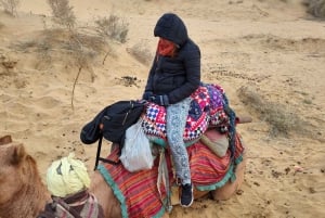 Underbar kamelsafari med Rumi Caravan i Tharöknen