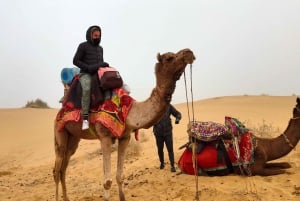 Safari a dorso di cammello con la Rumi Caravan nel deserto di Thar