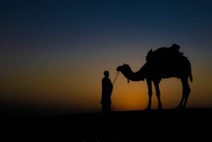 Safári de camelo com a Rumi Caravan no deserto de Thar