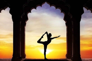 Yoga Session in Jaipur