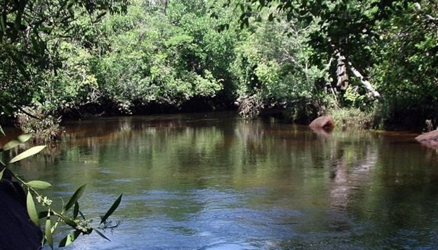 Rio Una (290 km)