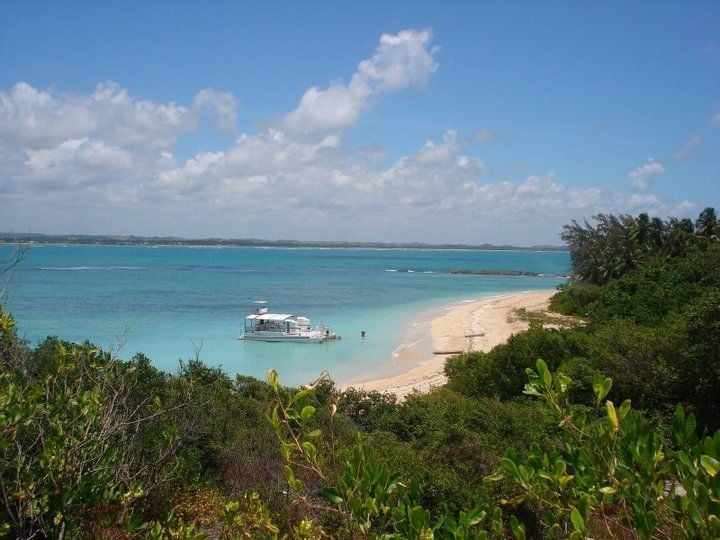 Catamaran Cavalo Marinho