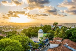 Recife: Byrundtur i Recife og Olinda