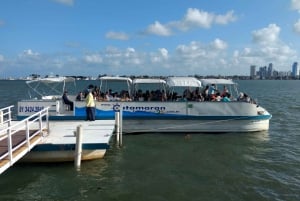 Tour de ville de Recife avec catamaran inclus
