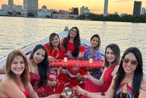 Explore the Heart of Recife: Capibaribe River Tour