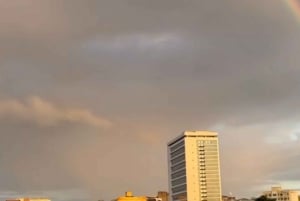 Explore the Heart of Recife: Capibaribe River Tour