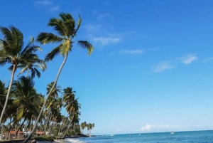 From Recife : Carneiros Beach