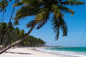 From Recife : Carneiros Beach