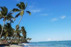 De Recife: Praia dos Carneiros