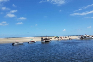 From Recife: Guided Day Trip to Praia dos Carneiros