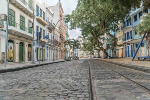 From Recife: Recife Old Town and Olinda City Tour