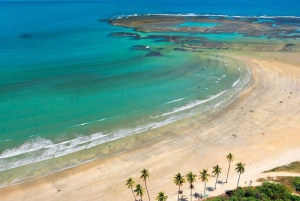 From Recife: Porto de Galinhas Beach Day-Trip