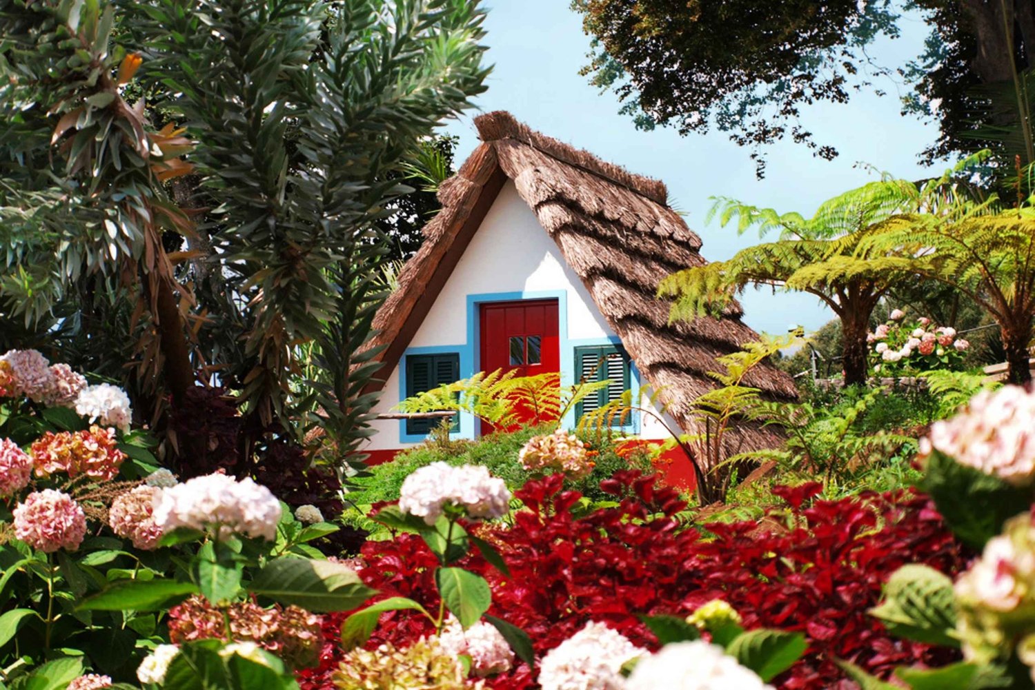 Madeira East Island Tour and Levada Walk