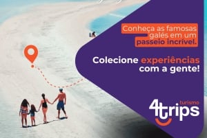 Maragogi: Privater Transfer vom Flughafen Recife (Hin- und Rückfahrt)