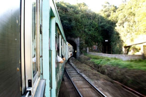 Morretes: Full Day Colonial Town Tour from Curitiba