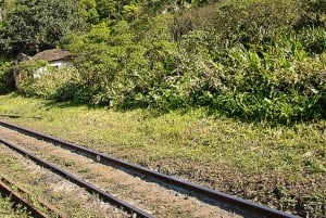 Morretes: Full Day Colonial Town Tour from Curitiba
