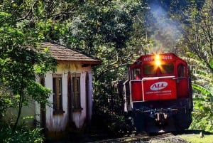 Morretes: Full Day Colonial Town Tour from Curitiba