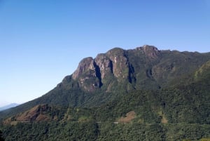 Morretes: Full Day Colonial Town Tour from Curitiba