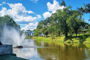 Morretes: Full Day Colonial Town Tour from Curitiba