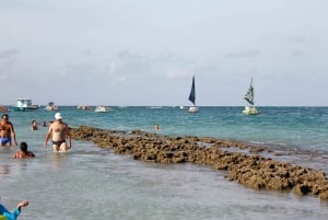 Porto Galinhas Full Day Tour