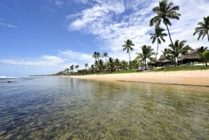 Wycieczka całodniowa do Porto Galinhas