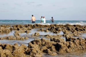 Wycieczka całodniowa do Porto Galinhas