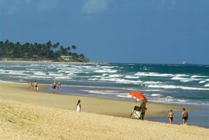 Wycieczka całodniowa do Porto Galinhas
