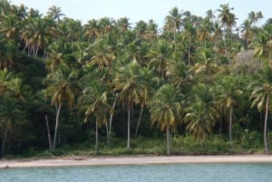 Wycieczka całodniowa do Porto Galinhas