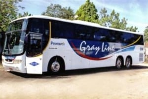 Recife Airport: 1-Way and Round-Trip Shared Transfers