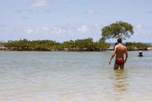 Recife: Dagstur till Carneiros Beach