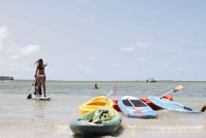 Recife: Dagstur till Carneiros Beach