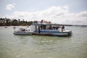 Recife: Dagstur till Carneiros Beach