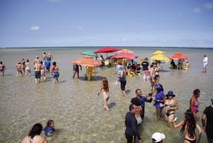 Recife: Dagstur till Carneiros Beach