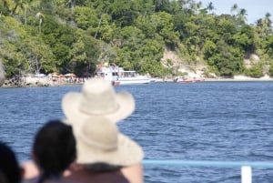 Recife: Dagstur till Carneiros Beach