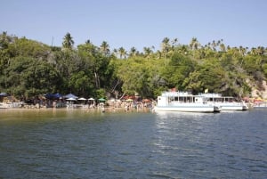 Recife: Dagstur till Carneiros Beach