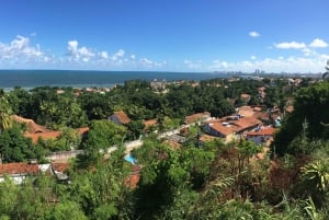 Visite de Recife et d'Olinda : Découvrez le charme de deux villes