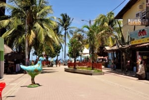 Recife: Tour to Porto de Galinhas
