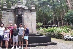 Terceira Island: Full Day Van Tour