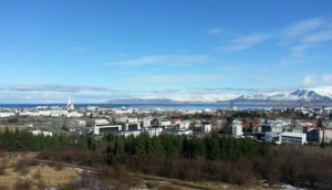 Grab a plate, dinner is served! Clockwise we see Svið, liverwurst and blood pudding, Hangikjöt, ram's testicles and shark. On the other plate rye bread and flatbread. Photo: Wikipedia