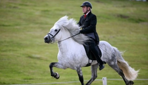 Vesturbæjarlaug - the 'West Side Pool' - is comfortable and cozy, only a stone's throw away from the Reykjavik city center!