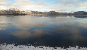 Sævar frá Stangarholti riding a horse doing the Tölt gait. (Image source Dagur Brynjólfsson on Wikimedia Commons)