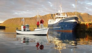 The colors are quite spectacular.