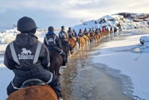 Reykjavík: 1-timmes vintertur i röd lava med valfri upphämtning